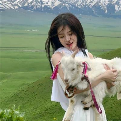 约翰·卡朋特的郊区尖叫